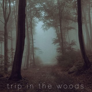 Trip in the Woods