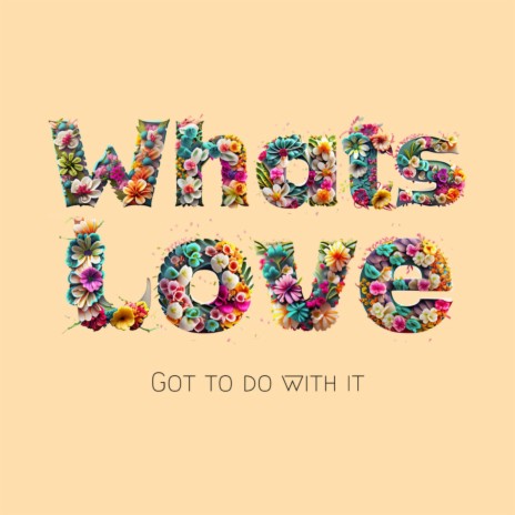 What's Love Got to Do with it | Boomplay Music