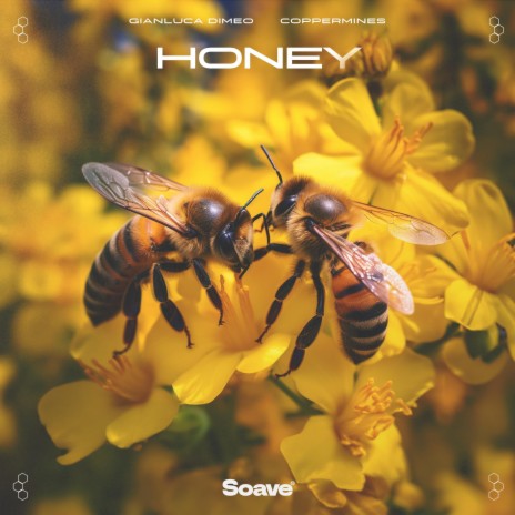 Honey ft. Coppermines | Boomplay Music