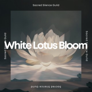 White Lotus Bloom