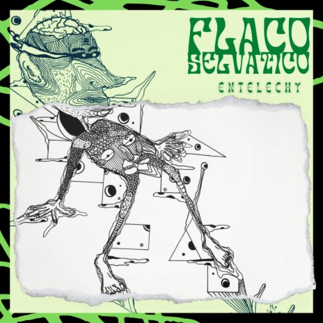 Flaco Selvático | Boomplay Music