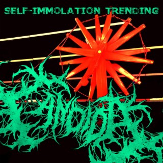 Self-Immolation Trending