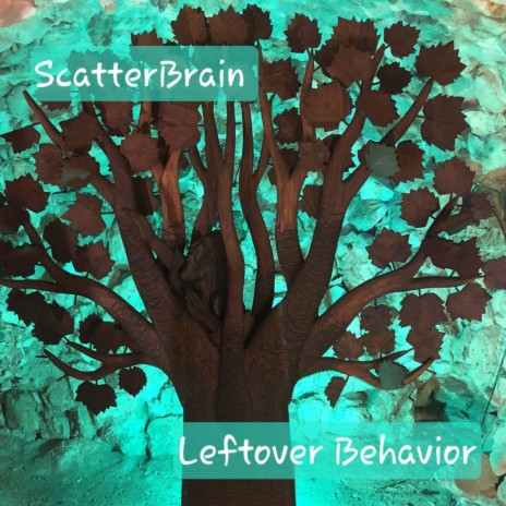 Leftover Behavior | Boomplay Music