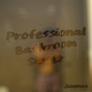 Professional Bathroom Singer lyrics | Boomplay Music