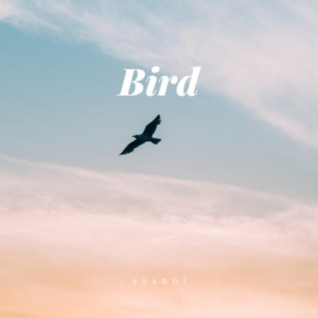 Bird | Boomplay Music