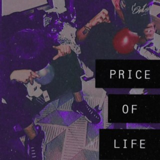 price of life