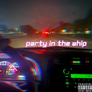 PARTY IN THE WHIP