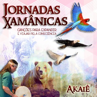 Jornadas Xamânicas: Canções Para Expandir e Viajar Pele Consciência