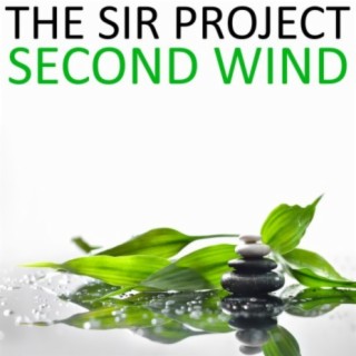The Sir Project
