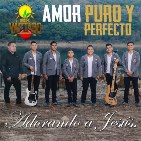 Amor puro y perfecto | Boomplay Music