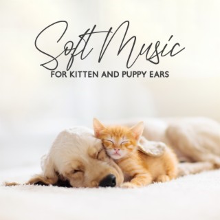 Soft Music for Kitten and Puppy Ears (Pet Therapy, Zen for Dogs, Relaxing for Cat)