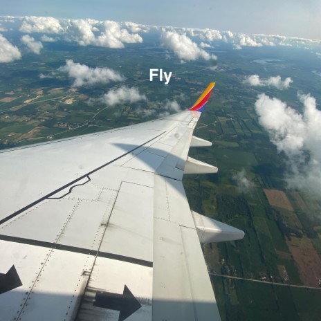Fly (Seattle)
