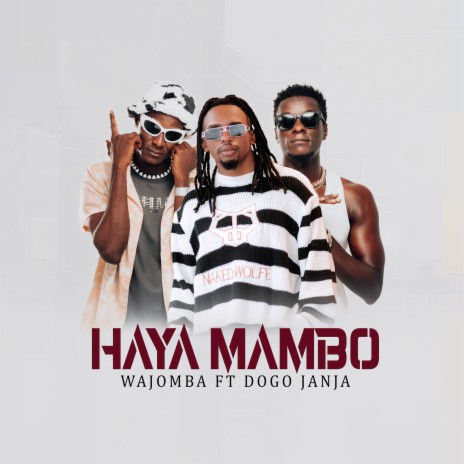 Haya Mambo ft. dogo janja | Boomplay Music