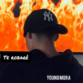 Te Robaré lyrics | Boomplay Music