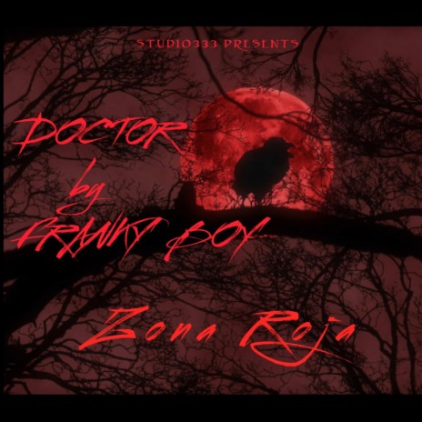 Doctor en la zona | Boomplay Music
