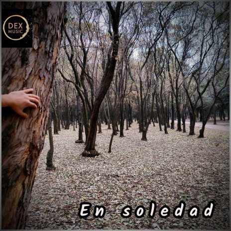 En soledad | Boomplay Music