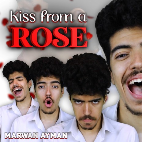 Kiss from a Rose | Boomplay Music