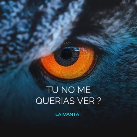 TÚ NO ME QUERÍAS VER? | Boomplay Music