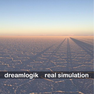 Real Simulation