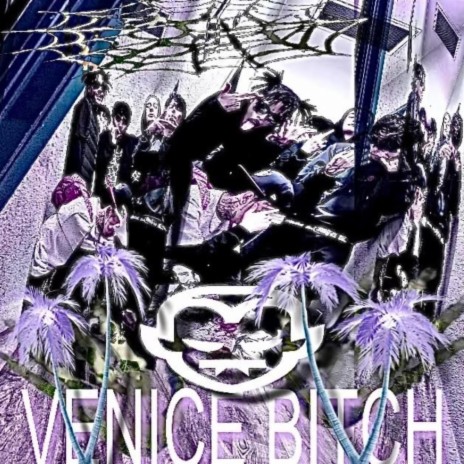 VENICE BITCH ft. RIP NOVEMBER | Boomplay Music