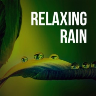 Relaxing Rain