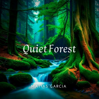 Quiet Forest