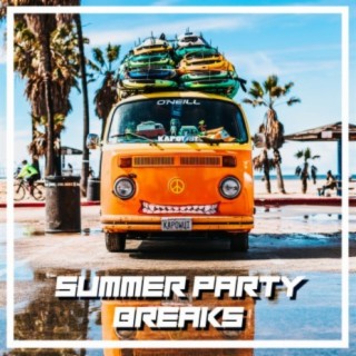 Summer Party Breaks