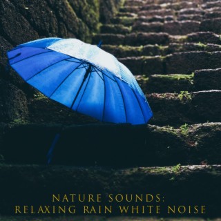 Nature Sounds - Relaxing Rain White Noise
