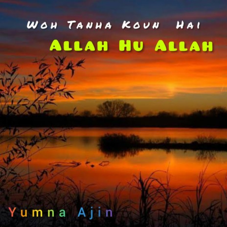 Woh Tanha Koun Hai Allah Hu Allah | Boomplay Music