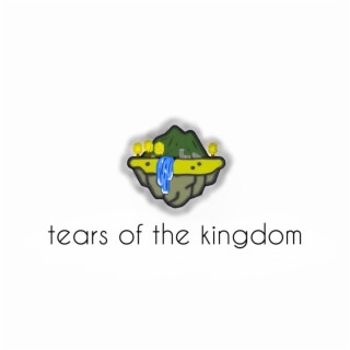 Tears of the Kingdom (The Legend of Zelda)