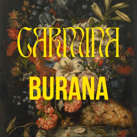 O Fortuna ft. Schola Camerata | Boomplay Music