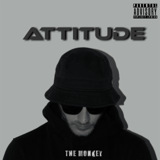 Attitude