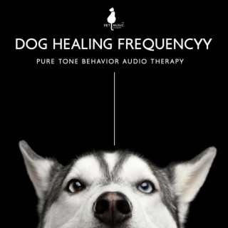 Dog Healing Frequency: Pure Tone Behavior Audio Therapy, Sound & Geometric Healing, Release Separation, Reiki Healing Dogs and Cats with Sound Frequencies, Sound Healing Pet Therapy