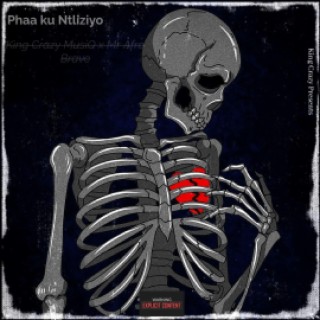 Phaa Ku Ntliziyo (feat. Mr Afro Brave)