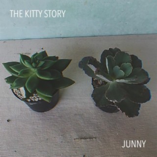 The Kitty Story