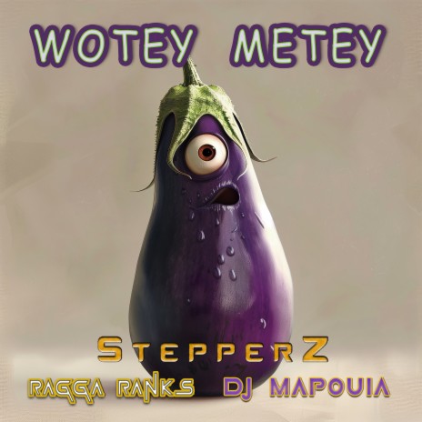 Wotey Metey ft. DJ Mapouia & Ragga Ranks | Boomplay Music