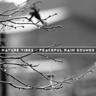 Nature Vibes - Peaceful Rain Sounds