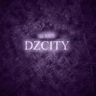 Dzcity