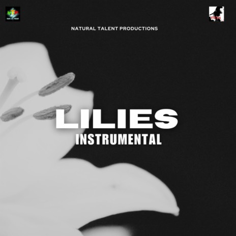 LILIES INSTRUMENTAL (SYCKA) | Boomplay Music