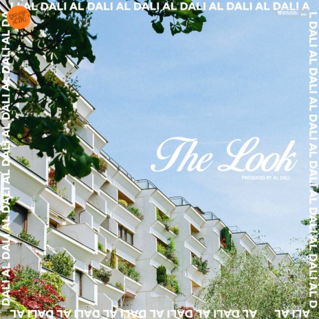 The Look | Boomplay Music