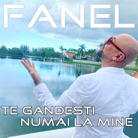 Te Gandesti Numai la Mine | Boomplay Music