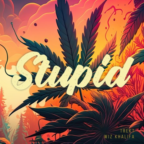 Stupid (feat. Wiz Khalifa) | Boomplay Music