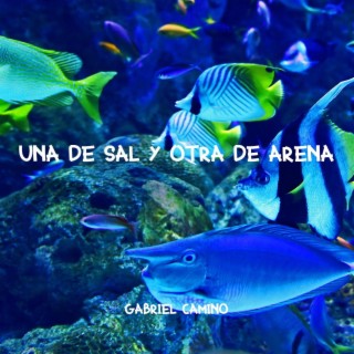 Una de sal y otra de arena