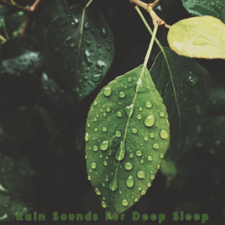 Rain Sounds Deep Sleep Aid
