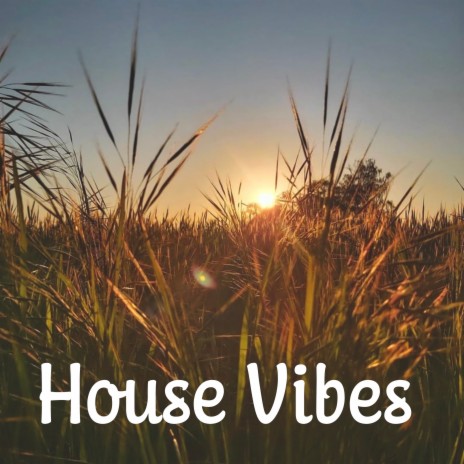 House Vibes