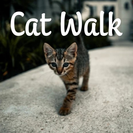 Cat Walk | Boomplay Music