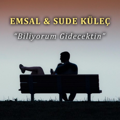 Biliyorum Gidecektim ft. Sude Küleç | Boomplay Music