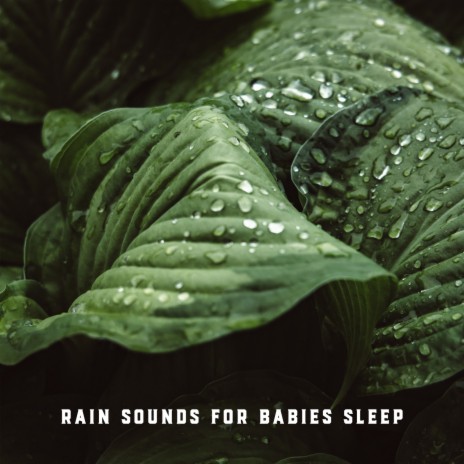 Scandinavian Forest Rain Sound | Boomplay Music