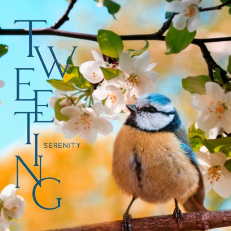 Chirping Wellbeing | Boomplay Music