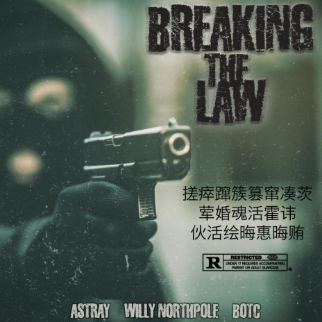 Breaking The Law ft. Willy Northpole & Bag of Tricks Cat | Boomplay Music